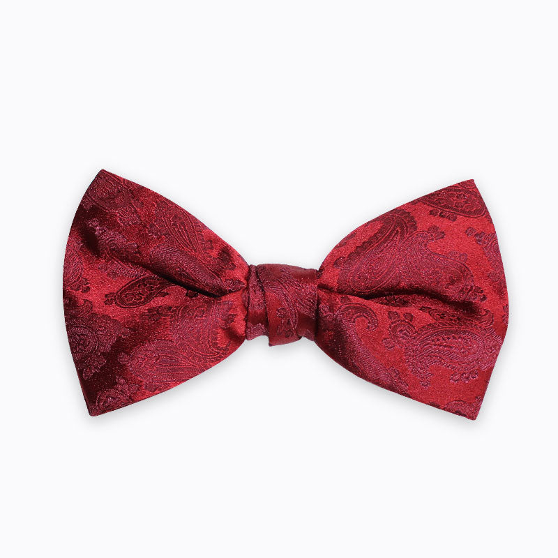 Noeud papillon Droit - Cachemire